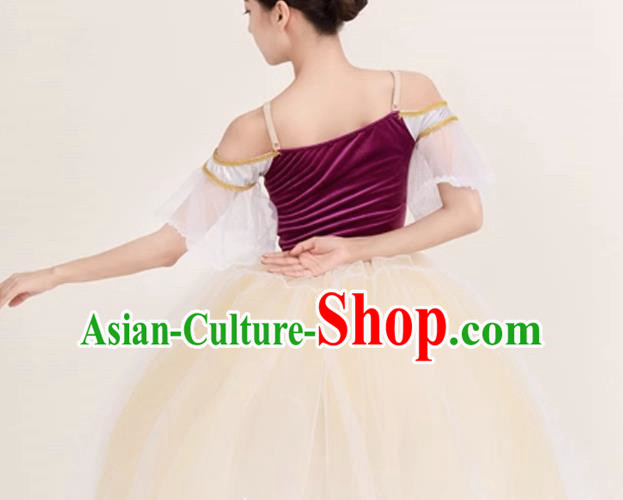 Long Skirt Lace Palace Lace Dance Skirt Performance Costume Stage Costume