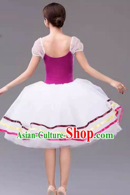 Gauze Skirt Performance Clothing Women White Long Tutu Skirt Ballet Professional Dance Skirt Performance Clothing