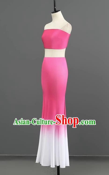 Dai Dance Performance Costumes Women Chinese Minority Gradient Performance Costumes Art Test Stage Costumes