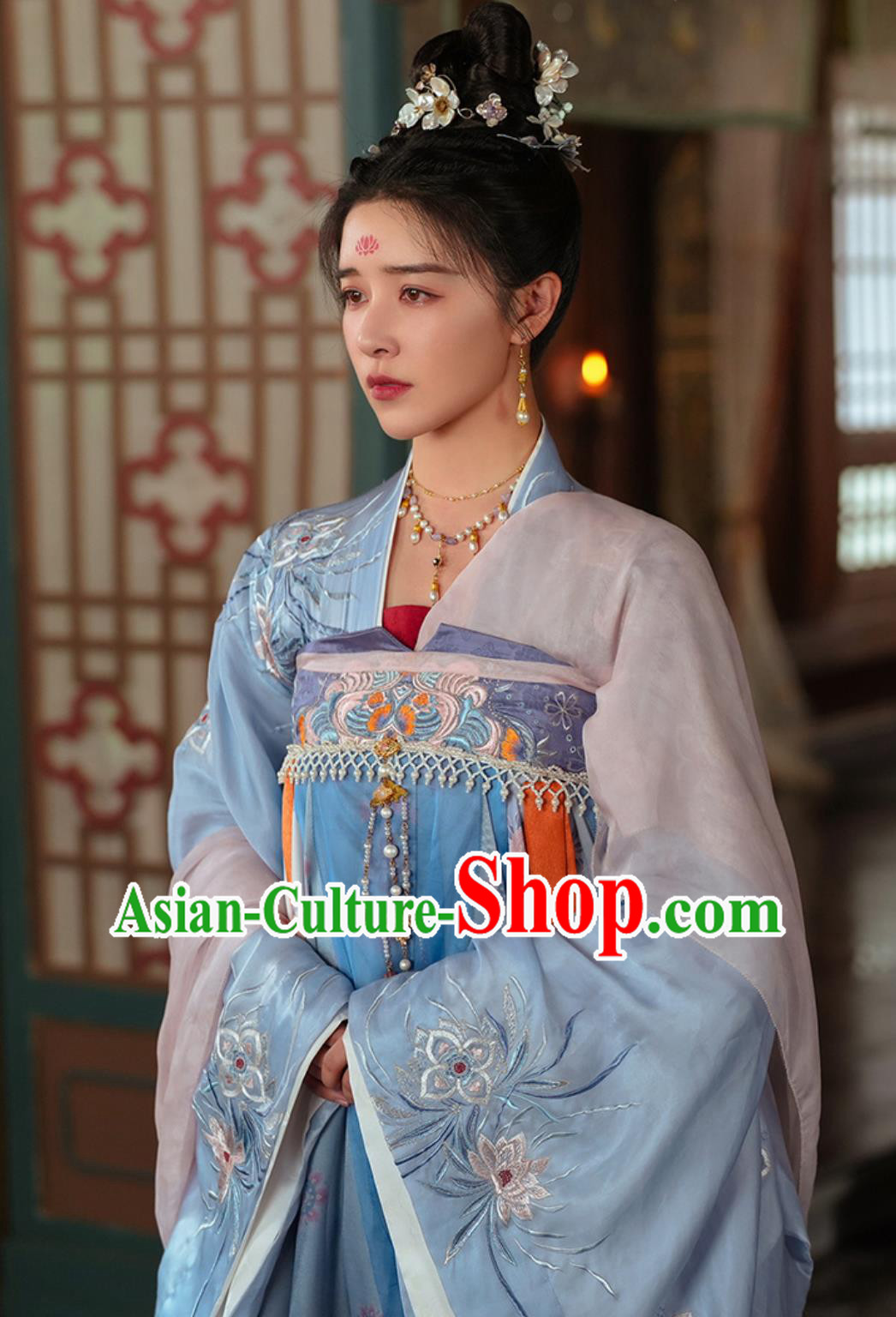 Ancient China Noble Lady Clothing Traditional Chinese Tang Dynasty Woman Hanfu Dress TV Series Drama Go East Yuchi Hua Costume