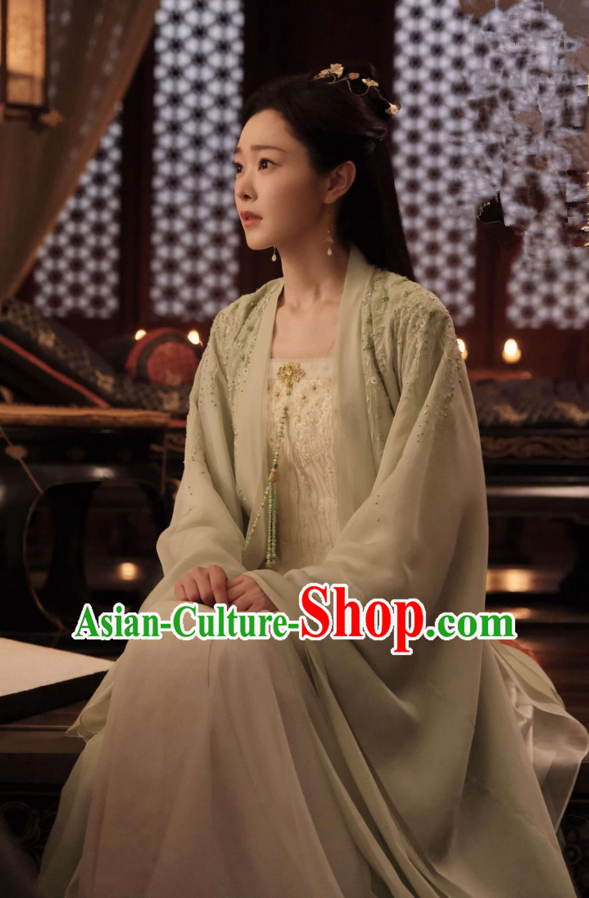 Traditional Chinese Young Woman Hanfu Dress TV Series Qing Yu Nian Fan Ruo Ruo Costume Ancient China Noble Lady Clothing