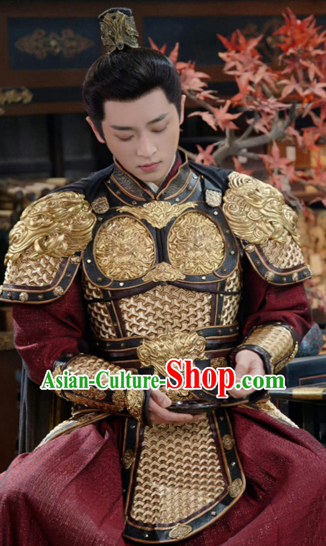 Ancient China General Clothing Traditional Chinese Tang Dynasty Jin Wu Wei Grand Commander Armor TV Series Drama Follow Your Heart Yan Nan Xing Shang Bie Li Costume