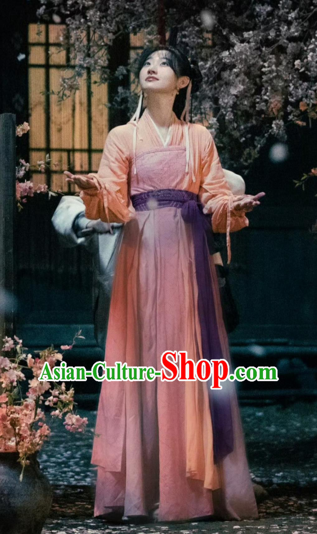 TV Series Sword and Fairy Zhao Ling Er Costume Ancient China Ethnic Princess Clothing Traditional Chinese Xianxia Drama Young Lady Dress