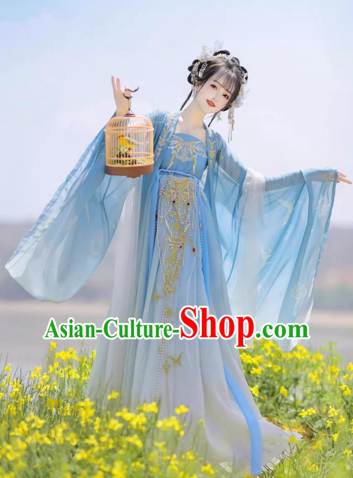 Traditional Chinese Blue Hanfu Dress Ancient China Princess Costume Tang Dynasty Court Lady Clothing