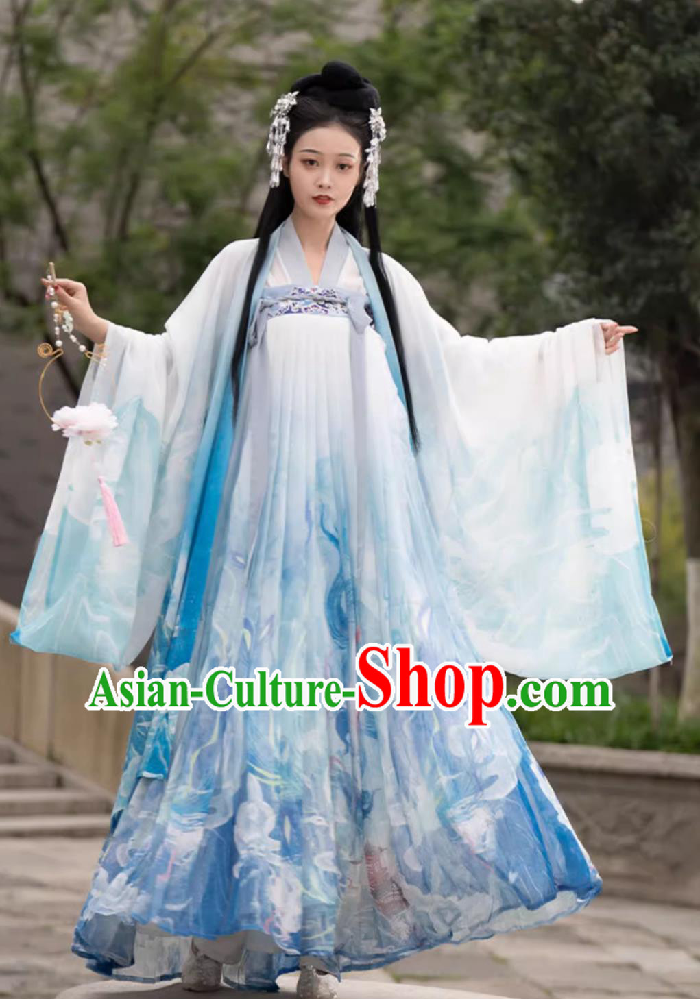 Ancient China Young Woman Costume Chinese Tang Dynasty Clothing Traditional Blue Hanfu Dresses