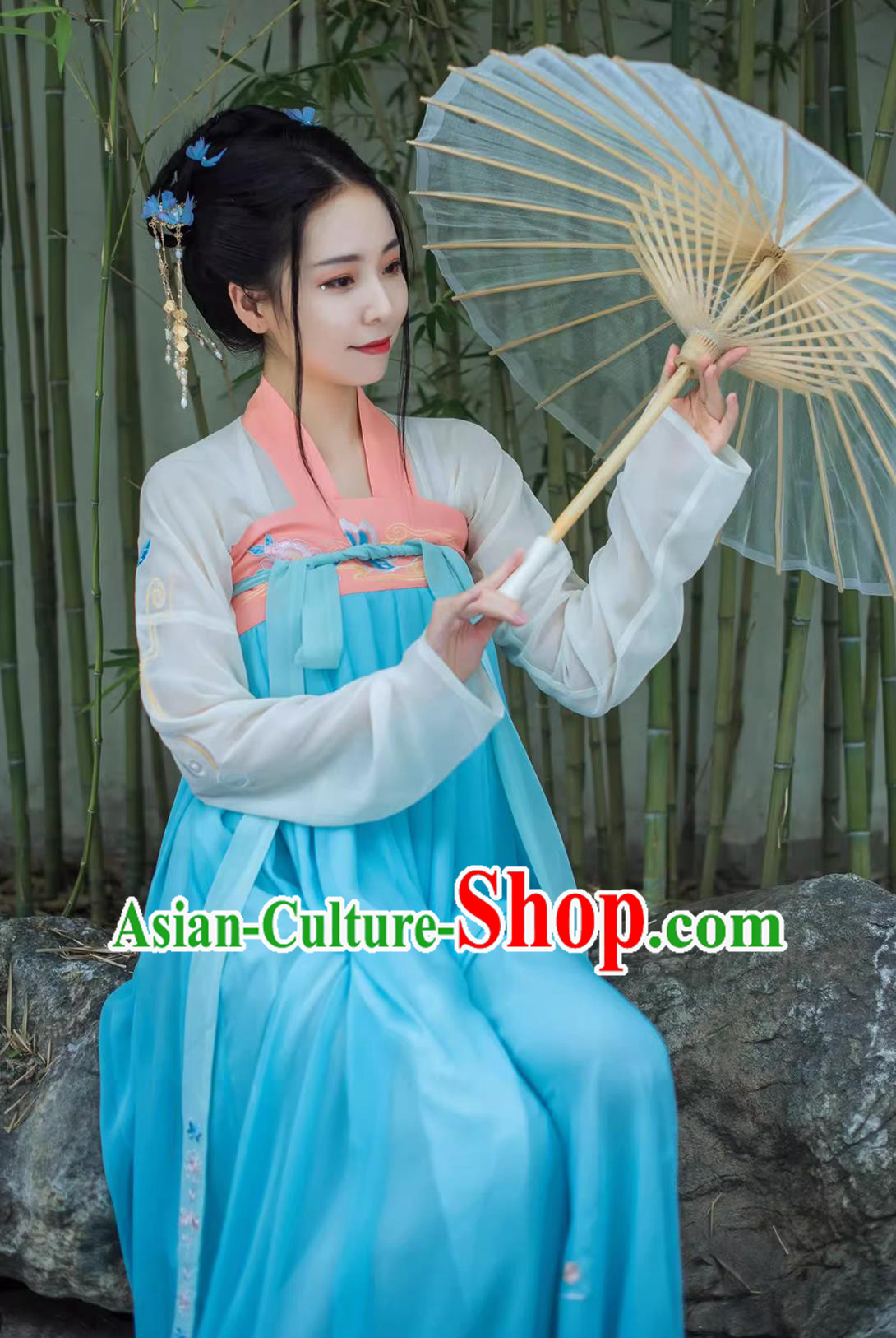 Traditional Chinese Hanfu Ruqun Tang Dynasty Young Lady Blue Dress Ancient Fairy Costume