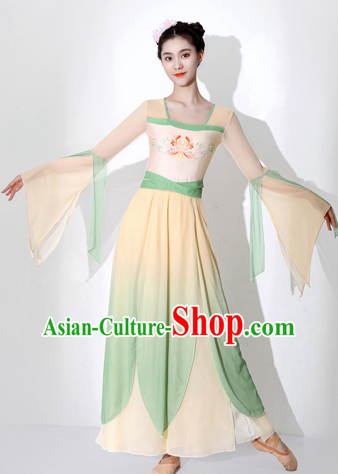 Chinese Stage Performance Fan Dance Dress Classical Dance Costume Woman Dance Exercise Clothing