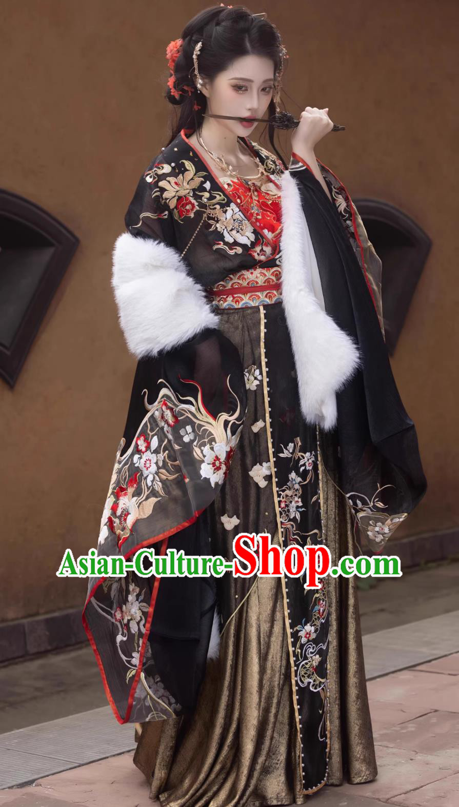 Chinese Ancient Court Woman Garment Costumes Wei Jin Northern and Southern Dynasties Princess Black Embroidered Dress Hanfu Online Shop