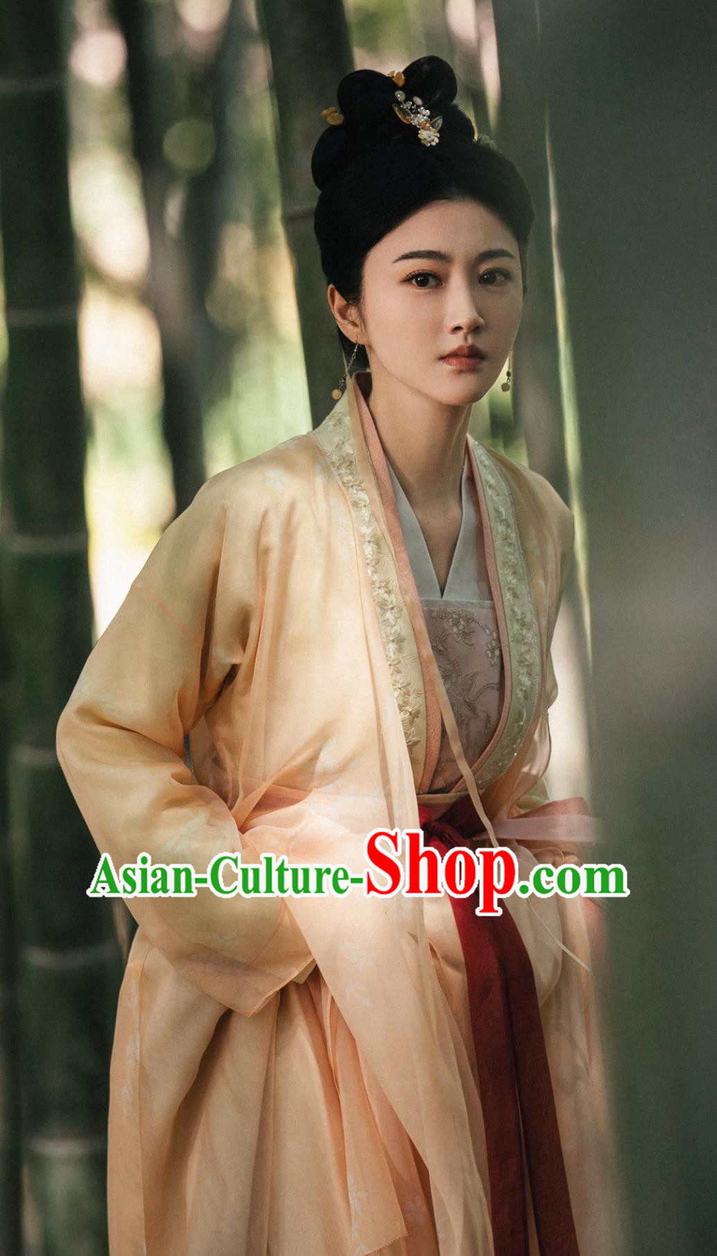China Ancient Song Dynasty Noble Lady Garment Costumes TV Drama The Legend of Zhuohua Mu Zhuo Hua Dresses