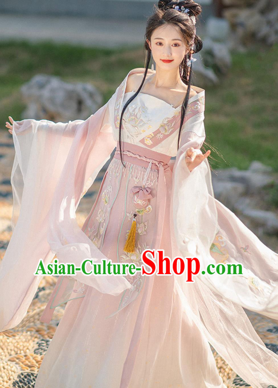 China Traditional Hanfu Embroidered Pink Dress Ancient Chinese Clothing Southern and Northern Dynasties Young Woman Costume