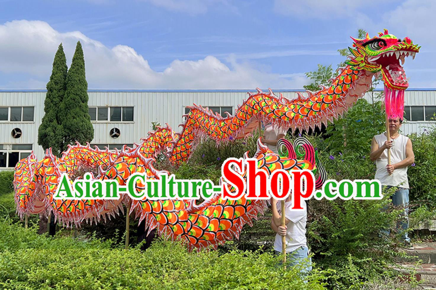 Chinese Dragon Dance Orange Fluorescent Costume Celebration Parade Dragon Costume Professional Competition Dragon Dancing Prop