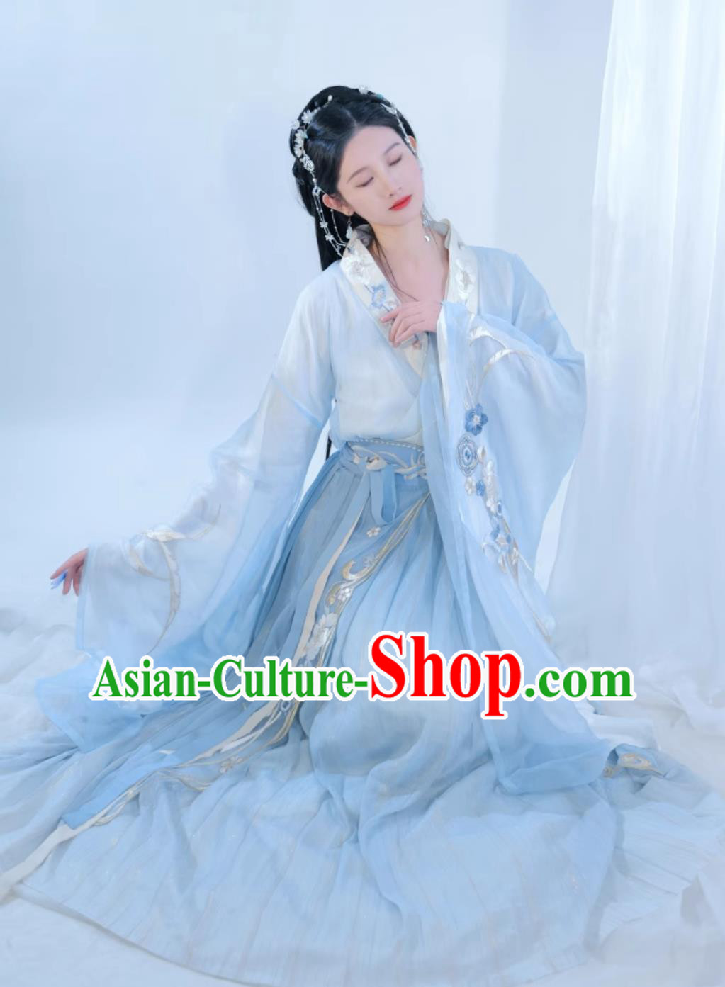 Ancient Chinese Southern and Northern Dynasties Princess Clothing Traditional Women Hanfu Blue Dress China Travel Photography Costume