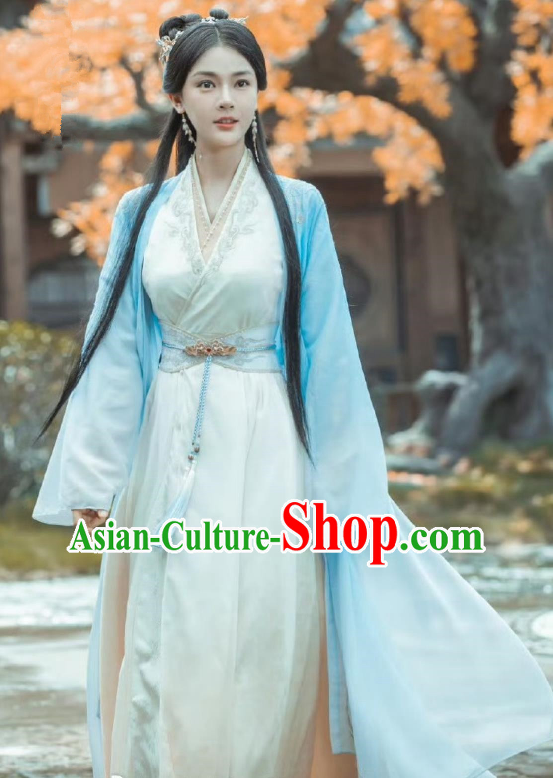 Ancient China Noble Lady Clothing Chinese TV Drama Dashing Youth Chivalrous Woman Li Xin Yue Garment Costume