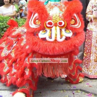 Chinese Classic Celebrating and Wedding Lion Dance Costumes Complete Set