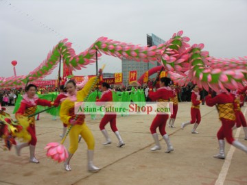 Chinese Stunning Festival Celebrating Lotus Dragon Dance Costumes