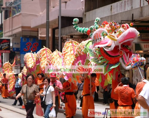 Traditional 20 Dancers Long and Large Dragon Dance Costumes Full Set