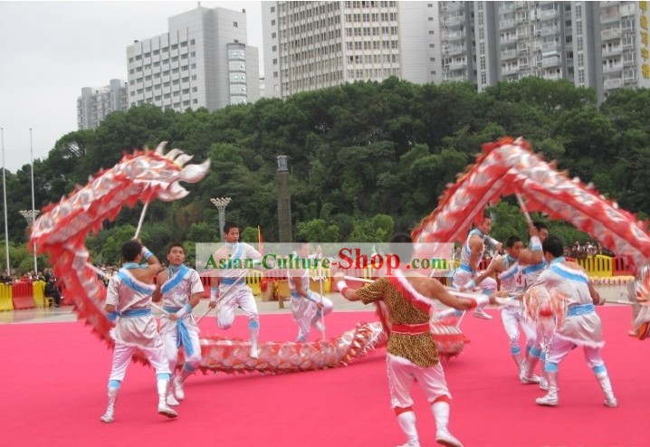 Chinese Classic Net Dragon Dance Equipments Complete Set (silver)
