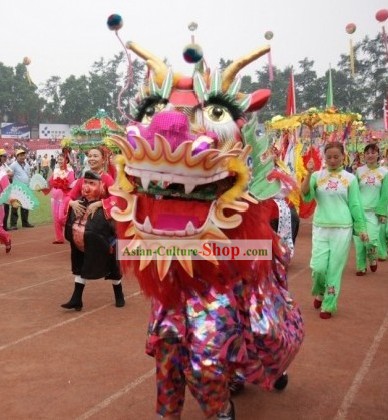 Happy Celebration Two People Dragon Dance Costumes Complete Set