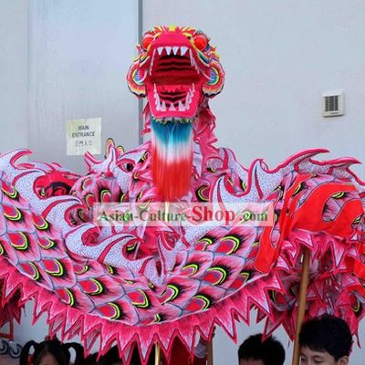Traditional Chinese Luminous Phoenix Dragon Dance Costumes Complete Set
