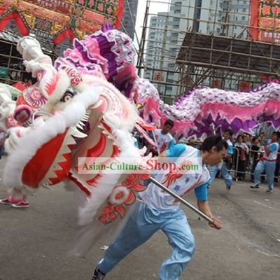 Supreme Chinese Traditional Large Classic Sheep Wool Dragon Dance Equipments Complete Set (purple)