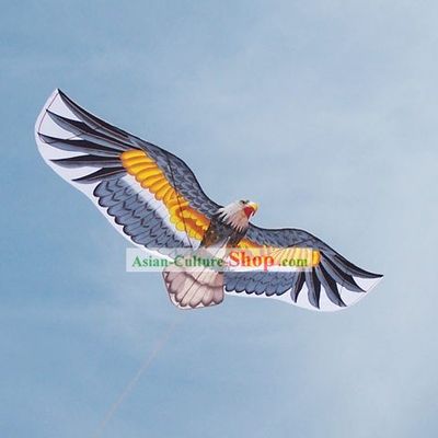 Chinese Traditional Weifang Hand Painted and Made Kite - Bald Eagle