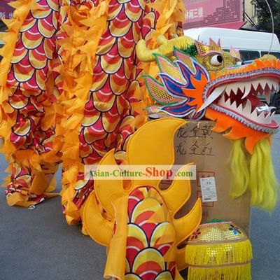 Competition and Parade Children Dragon Dance Costume Complete Set