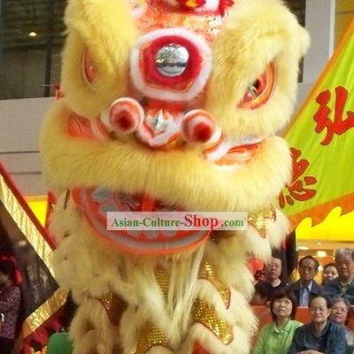 Glow In Dark Luminous Happy Events and Lucky Opening Celebration Lion Dance Costume Complete Set