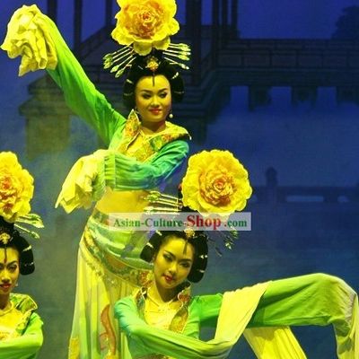 Ancient Chinese Palace Dance Costumes and Hair Accessories Complete Set