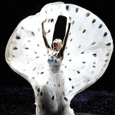 Yang Liping Peacock Dance Costumes Complete Set