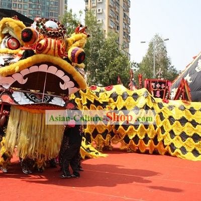 Super Large Lion Dance Costumes Complete Set for Display and Parade