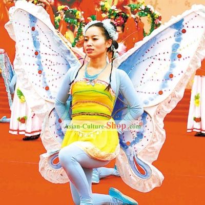 Butterfly Chinese Folk Drama Costume