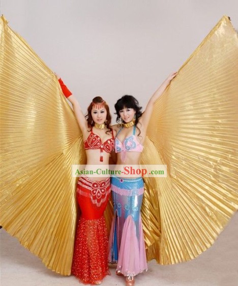Pink Belly Dance Costume