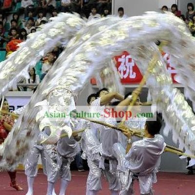 Silver Long Dragon Costumes Complete Set