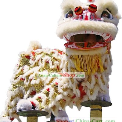 Professional Chinese Lion Mask and Costumes Complete Set