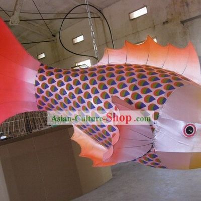 Happy New Year Fish Lanterns
