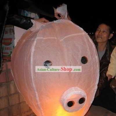 Chinese Kong Ming Flying Animal Lantern 10 Pieces Set