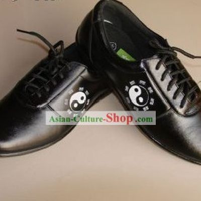 Chinese Professional Black Tai Chi (Taiji) Shoes Kung Fu Shoes