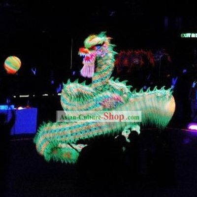 Professional Luminous Dragon Parade Costumes Complete Set