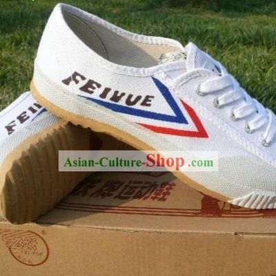 Chinese Professional Martial Arts Tai Chi Fei Yue Brand Shoes