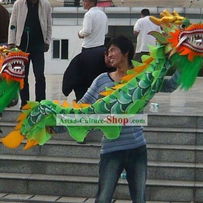 Two People Small Dragon Costume