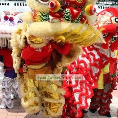 Competition and Parade Lion Dance Costume Complete Set