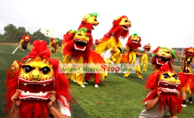 Guide DVD of Playing Lion Dance