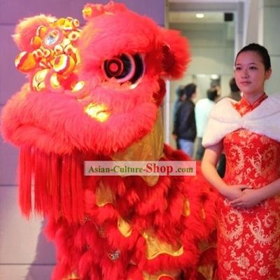 GLOW IN DARK Chinese New Year Celebration Lion Dance Costume Complete Set