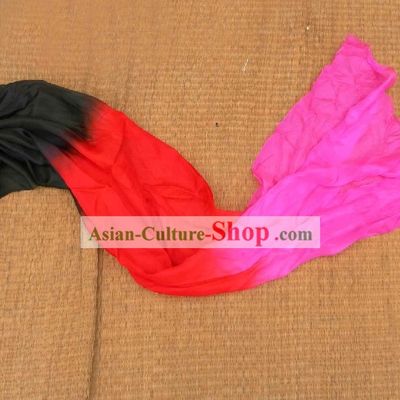 Long Chinese Hand Painted Fan