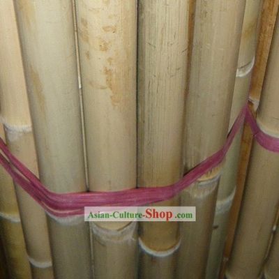 Dragon Dance Holding Pole