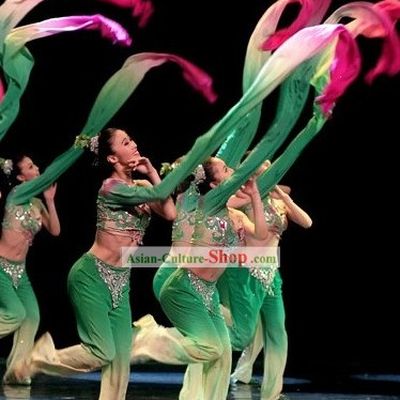 Traditional Chinese Water Sleeve Dance Costumes Complete Set