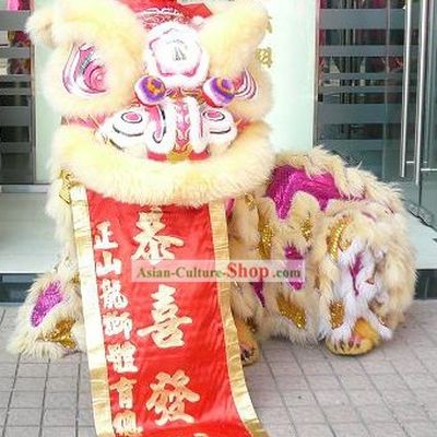 Traditional Kung Fu Martial Arts  Lion Dance Costume Complete Set