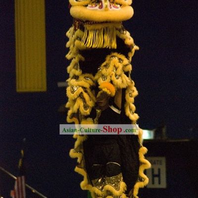 Top Professional Competition Lion Dance Costume Complete Set