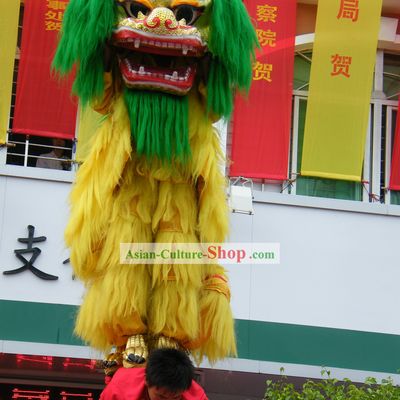 Green Hair Peking Northern Lion Dance Outfit Complete Set
