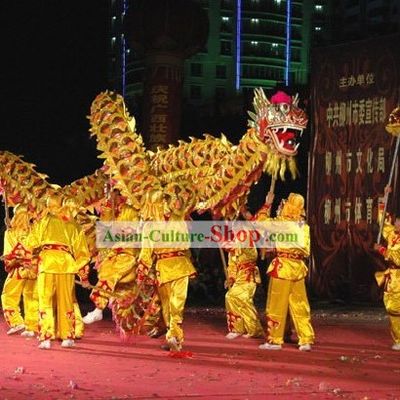 Professional Competition Net Dragon Dance Costume Complete Set